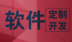 专业软件开发，10年开发经验，小程序网站定制化系统