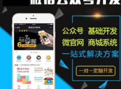 软件/网站开发 APP/公众号/小程序/微信商城定制