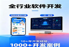 软件开发、应用软件开发、程序开发，有意思科技，快速响应