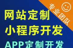 应用软件开发|程序开发|软件制作|专业定制小程序
