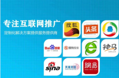 提供网站建设与推广服务，经验丰富技术强，助力企业网络腾飞！