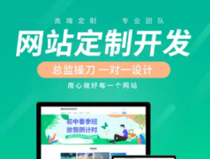 软件开发、应用软件开发、程序开发